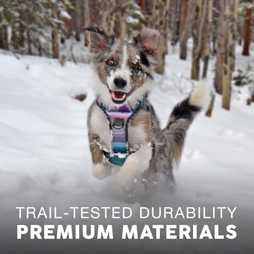 Embark No Pull Dog Harness, Reflective Adjustable Training Vest, No Choke - Image 5