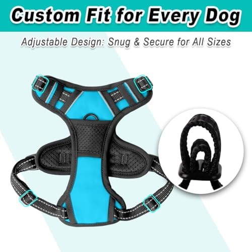 BARKBAY Dog Harness for Small Sized Dog No Pull 2 Leash Clips Dog Vest - Image 6