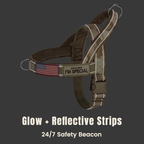Forestpaw No Pull Dog Harness - Image 6