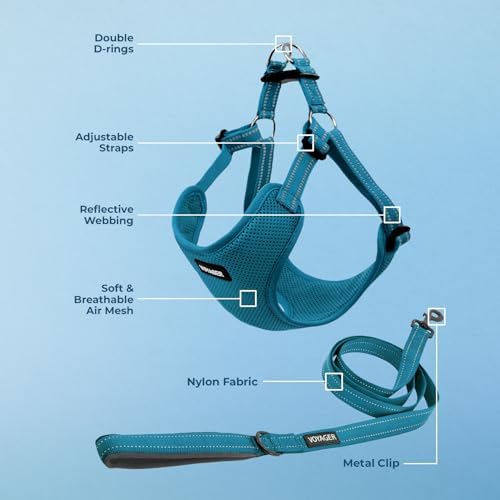 Best Pet Supplies Voyager Adjustable Step-in Flex Breathable Mesh Dog Harness - Image 4