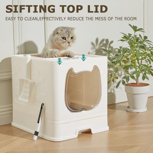 Cat Litter Box with Lid, Covered Top Entry Kitten Litter Pan - Image 4