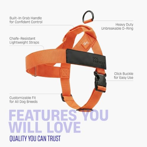 Dog Friendly Co. Dog Harness for Small Dogs - Image 5