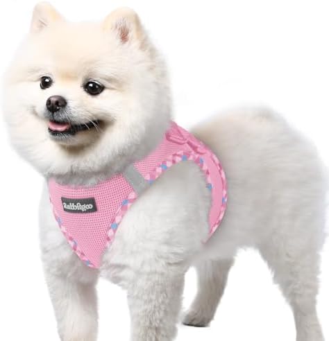 rabbitgoo Step-in Small Dog Harness, Puppy Vest by rabbitgoo