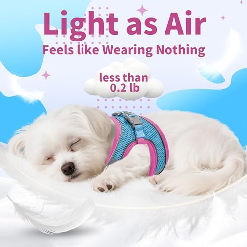 AIITLE Dog Harness and Leash Set, Step-in Puppy Pet Vest, Hot Pink XL - Image 5