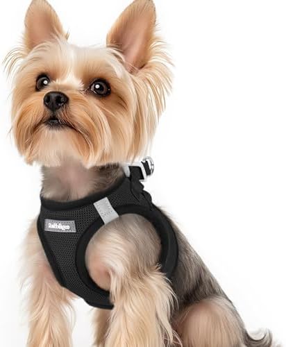 rabbitgoo Step-in Small Dog Harness, Puppy Vest by rabbitgoo