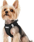 rabbitgoo Step-in Small Dog Harness, Puppy Vest by rabbitgoo