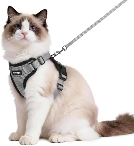 rabbitgoo Cat Harness and Leash Set, Escape Proof Vest by rabbitgoo
