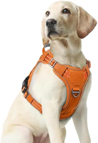 rabbitgoo Tactical Dog Harness Medium Sized, No Pull Service Pet Vest by rabbitgoo