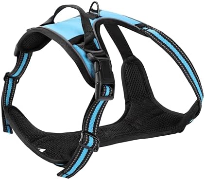 Blue No-Pull Dog Harness with 2 Leash Clips，Soft Padded Vest - Image 2