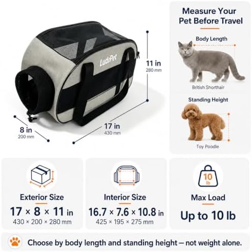 Airline-Friendly Pet Carrier for Cats and Small Dogs - Image 2