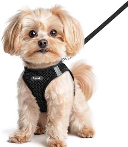 Eagloo Small Dog Harness and Leash Set, Step in Small Sized Puppy Pet Vest by GoExplorewithEagloo