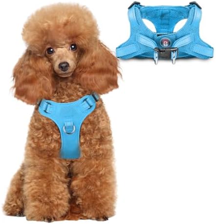 BARKBAY Small Dog Harness, No Pull Puppy Harness, Step-in Dog Vest by BARKBAY