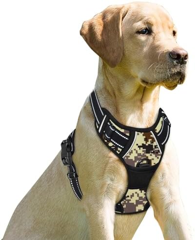 BARKBAY Dog Harness No Pull for Small Sized Dog Front Back Clips, Dog Vest by BARKBAY