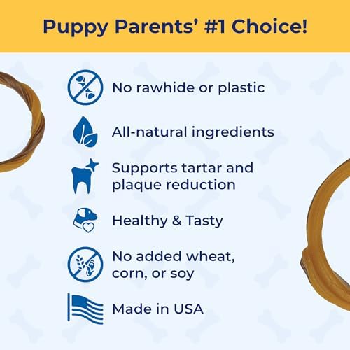 N-Bone Puppy Teething Rings, Taste of Texas Burnt Ends Flavor, Natural Puppy - Image 2
