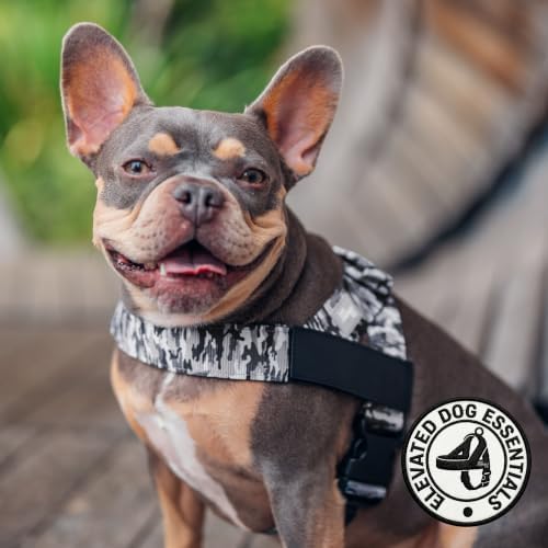 Dog Friendly Co. Dog Harness for Large Breeds - Image 4