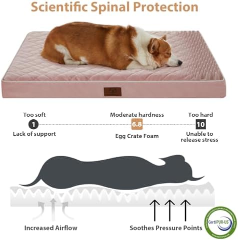 WNPETHOME Orthopedic Waterproof Large Sized Senior Dogs Bed - Image 3
