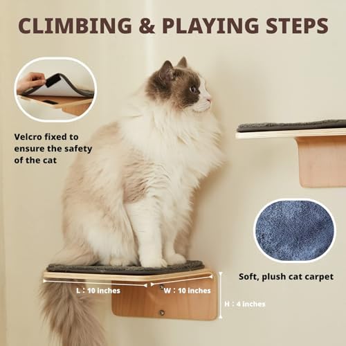 LIORCE Cat Wall Shelves with 2 Steps, Creative Design Cat Shelf with Peephole - Image 4