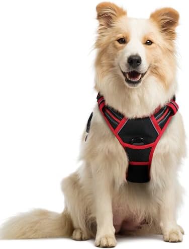 rabbitgoo Dog Harness, No Pull Medium Sized by rabbitgoo