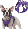 rabbitgoo Tactical Dog Harness for Small, No Pull Military Service Vest by rabbitgoo