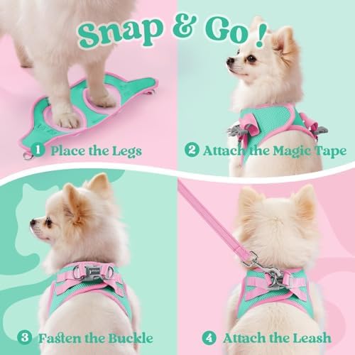 rabbitgoo Dog Harness Small Sized and Leash Set, Step in Soft Vest - Image 2