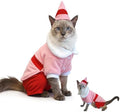 Dog Elf Christmas Outfit with Cap, Funny Party Cosplay Winter Warm Dogs Christmas Outfit (Pink, 3X-Large) by Hladce
