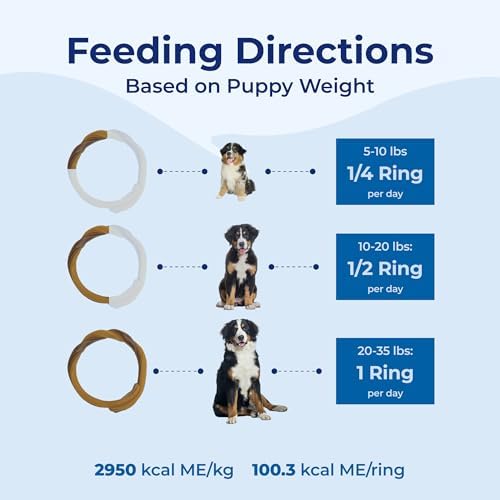 N-Bone Puppy Teething Rings, Taste of Texas Burnt Ends Flavor, Natural Puppy - Image 4