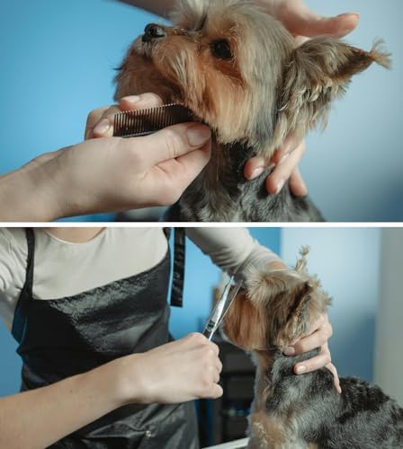 Dog Grooming Scissors Set 4 in 1 Professional Pet Shears Made Of Japanese - Image 6