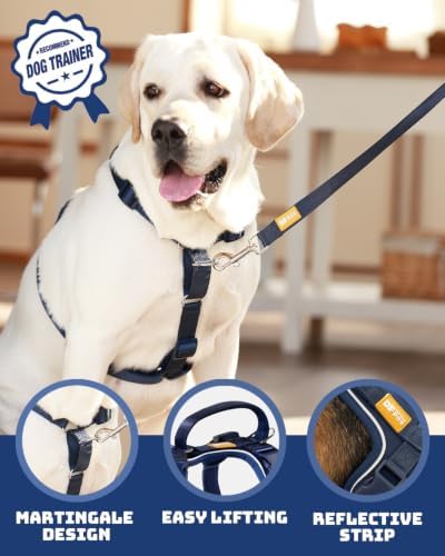 DF Freedom No Pull Martingale Dog Harness, Gentle Control - Image 2