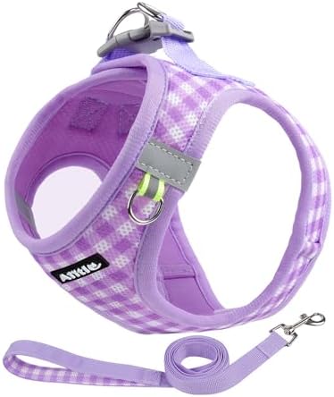 AIITLE Step in Medium Dog Harness and Leash Set, Puppy Pet Vest by AIITLE-FORPETSBETTERLIFE