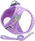 AIITLE Step in Medium Dog Harness and Leash Set, Puppy Pet Vest by AIITLE-FORPETSBETTERLIFE