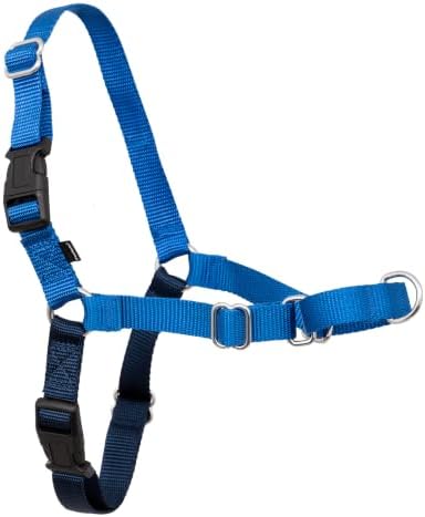 PetSafe Easy Walk Harness, No Pull Dog Harness, Royal Blue, Medium/Large by PetSafe