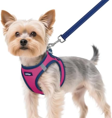 rabbitgoo Dog Harness Small Sized and Leash Set, Step in Soft Vest by rabbitgoo