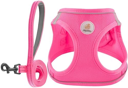 Hipubby Dog Harness and Leash Set, No Pull Soft Mesh Puppy Harness by Hipubby
