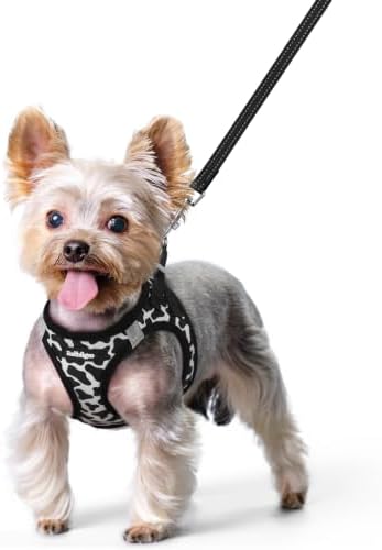 rabbitgoo Dog Harness Small Sized and Leash Set, Step-in Puppy Pet Vest by rabbitgoo