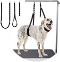 Dog Grooming Belly Strap by DISCPETSEC