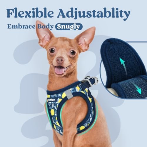 rabbitgoo Step-in Small Dog Harness, Puppy Vest - Image 7
