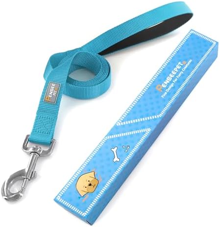 6 FT Reflective Dog Leash for Medium Dogs, Sky Blue - Image 5