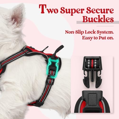 rabbitgoo Dog Harness, No Pull for Small Dogs - Image 3