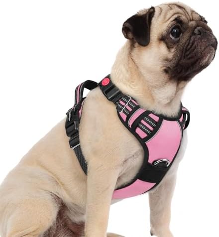 rabbitgoo Dog Harness Small Sized, No Pull 3 Buckles Easy On & Off by rabbitgoo