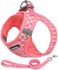 AIITLE Step in Medium Dog Harness and Leash Set, Pet Vest, Watermelon L by AIITLE-FORPETSBETTERLIFE