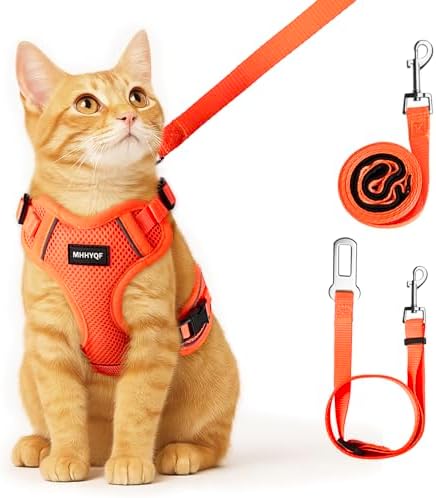 Cat Harness and Leash for Walking Escape Proof Soft Adjustable Cat Leash by Unknown