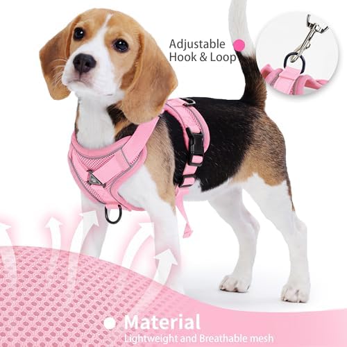 Dog Harness Small Sized Dog Pet Vest - Image 4