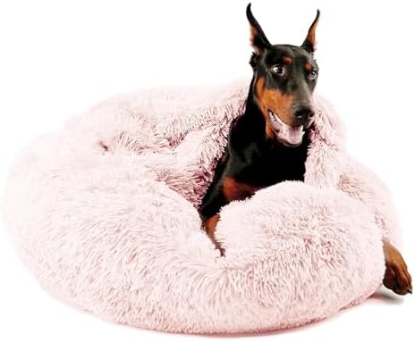 Himax 35in Covered Large Dog Bed by HIMAXPET