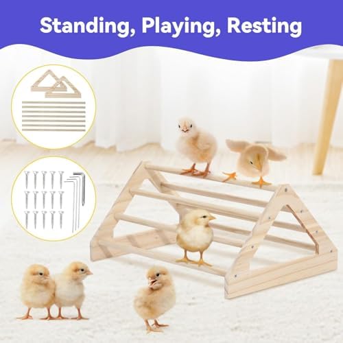 Pawaboo Chick Brooder Box for Chick Starter Kit - Image 5