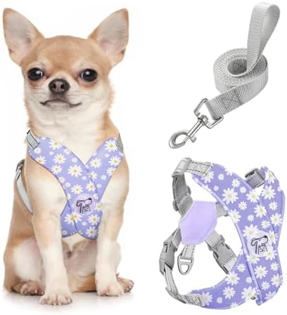 Pawaboo Small Dog Harness and Leash Set, Puppy Harness X-Frame Adjustable by Pawaboo