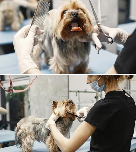 Dog Grooming Straight Scissors 7.5 inch Professional Pet Shears Made Of - Image 5