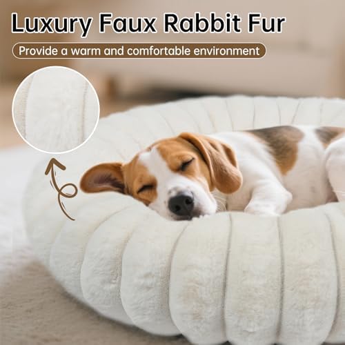 Donut Small Dog Bed Round Calming Kitten & Puppy Bed, 20in White - Image 2