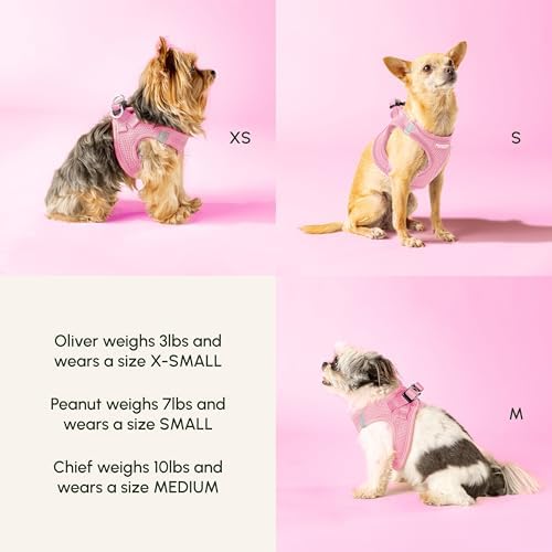 Downtown Pet Supply Pastel Tangerine X-Small Step-In Harness - Image 4
