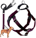 2 Hounds Design Freedom No Pull Dog Harness and Leash, 5/8" XS by 2HoundsDesign