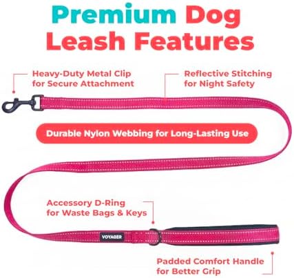 Best Pet Supplies Voyager Nylon Dog Leash - 6ft Fuchsia - Image 2